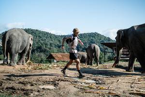 BIB: 
                            <button type="button" onclick="openModal(22422946)" class="btn btn-primary btn-sm float-right btn-popup" data-toggle="modal" data-target=".modal-high-quality">
                        <i class="fas fa-shopping-cart"></i> Add to Cart
                    </button>
                                            <button type="button" onclick="isThisMe(22422946, true)" class="btn btn-success btn-sm float-right btn-popup btn-isme hidden" data-toggle="tooltip" data-placement="bottom" title="นี่คือรูปของคุณใช่ไหม คลิกที่นี่เพื่อเอาเข้าอัลบั้ม">
                        <i class="fas fa-plus"></i> Add to album
                    </button>
                    <button type="button" onclick="isThisMe(22422946, false)" class="btn btn-warning btn-sm float-right btn-popup btn-isnotme hidden">
                        <i class="fas fa-ban"></i> Remove from album
                    </button>